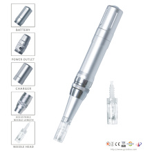 Gocodchie Cordless Micro Needling Derscma Nadelstift in Mts (ZX12D-60)